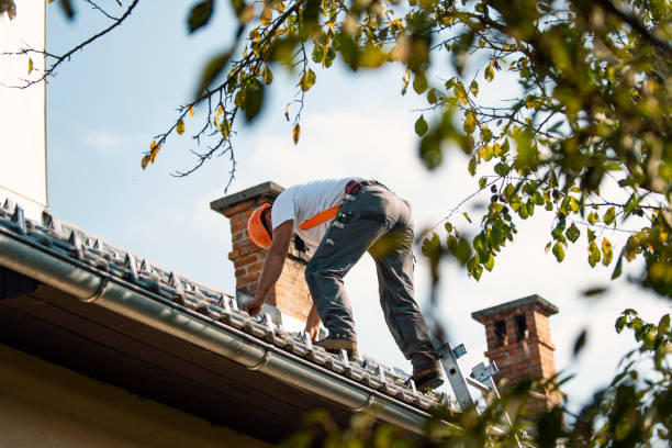 Best Flat Roof Repair Services  in Shillington, PA